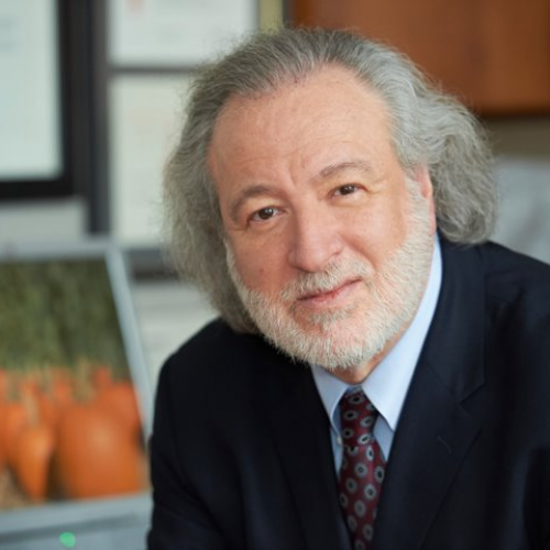 Un taller en Cudeca aborda la psicoterapia centrada en el sentido de la mano de su creador, el dr William Breitbart